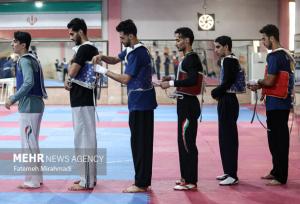 اردوی مشترک تکواندوکاران ویتنام در تهران