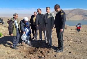 برگزاری پویش نهال کاری "در سایه مادر" در ده شهرستان استان همدان