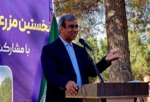 آغاز عملیات اجرایی نخستین مزرعه خورشیدی دولت در مشهد