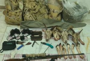 دستگیری متخلف شکار قوچ وحشی در کاشان