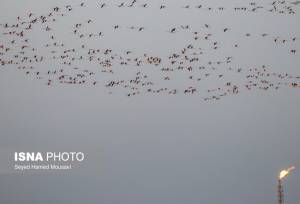 هوای خوزستان؛ ۵ شهر «پاک»، ۲ شهر «ناسالم»