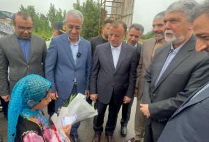 وزیر فرهنگ و ارشاد اسلامی وارد گلستان شد
