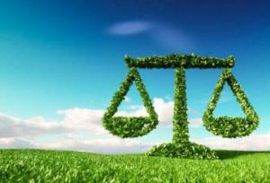 حکم سبز برای شکارچی متخلف/ حفاظت از محیط زیست به جای حبس