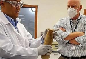 رمزگشایی از کوزه هخامنشی در مصر