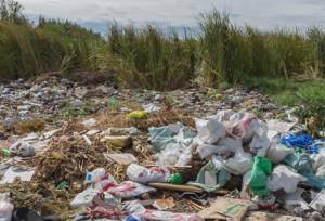 پلاستیک‌ها  ۸۳ میلیون سال زندگی سالم را ربودند