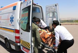واژگونی مینی‌بوس در گردنه آخجه‌قشلاق؛ ۷ آمبولانس اعزام شدند