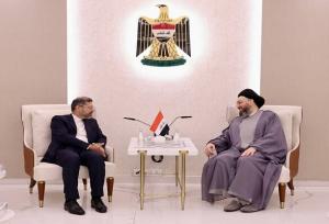 تاکید عمار حکیم بر دور نگه‌داشتن منطقه از هرگونه تهدید