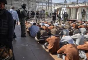 مقام سازمان ملل: شکنجه اسرای فلسطینی به مرز نسل کشی نزدیک شده است