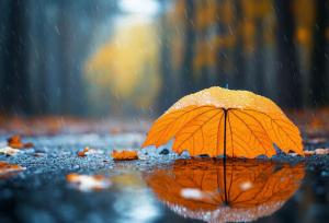 امروز و فردا همدان بارانی است/ افزایش کیفیت هوا تا اواخر هفته