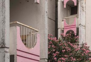 جزئیات صورتی در نمای این خوابگاه جلب توجه می‌کند