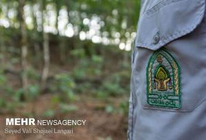 قمی:حمله سودجویان به مأموران منابع طبیعی آستارا؛ ۲ نفر مجروح شدند