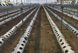 آغاز هوشمندسازی گلخانه‌های آذربایجان غربی با انرژی خورشیدی برای مقابله با کم‌آبی