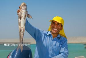 چابهار در مسیر جهش بزرگ آبزی‌پروری و اقتصاد دریامحور