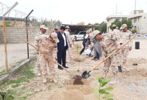 ۵۰۰ درخت در هنگ مرزی دهلران غرس شد