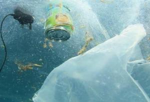 ساخت پلاستیکی که خودش زمان تجزیه‌اش را مشخص می‌کند