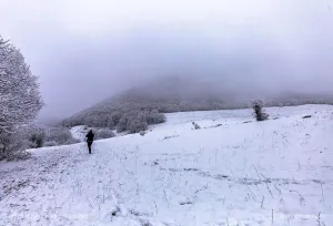 سازمان هواشناسی برای آخر هفته هشدار داد