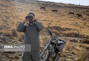 کمبود نیروی انسانی محیط‌بان در خراسان رضوی