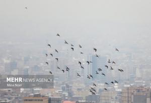 بازگشت آلودگی به کلانشهرها از روز یکشنبه؛ بارندگی و سرما در اکثر نقاط کشور