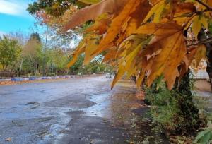 خوزستان از چهارشنبه بارانی می‌شود