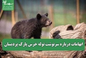 ابهامات درباره سرنوشت توله خرس پارک پردیسان