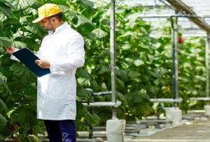 نهایی شدن سند توسعه مهارت کرمانشاه/ آموزش‌های مهارتی به سمت کشاورزی نوین و خدمات می‌رود