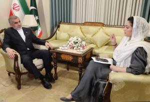 نیکزاد: اگر در کشورهای همسایه ناامنی شود منطقه متضرر می‌شود