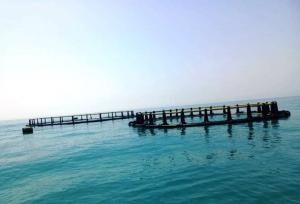 جهانشاهی: ساخت بزرگ‌ترین قفس دریایی کشور در مرحله پایانی است