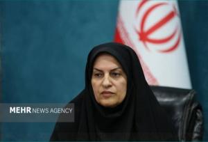 دوره آشنایی با قوانین و مقررات سازمان‌های مردم‌نهاد در بوشهر برگزار شد