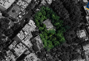 باغ ۳ هزارمتری زعفرانیه یک شبه غیرباغ شد!