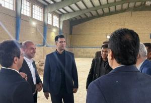 شیراز صاحب خانه هندبال شد