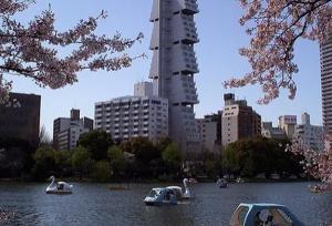 معماری «درخت زندگی» که فقط ۱۲ سال دوام آورد