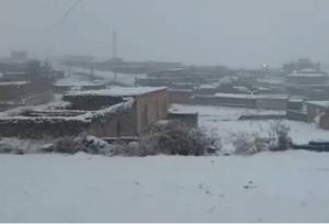 تصاویری از بارش برف در تکاب و سلماس