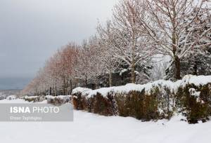 آغاز بارش باران و برف از ۱۴ بهمن در استان زنجان
