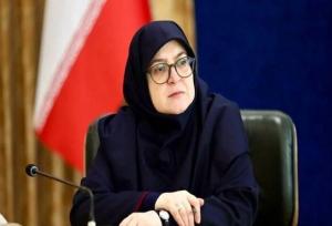 واکنش سخنگوی دولت به خبر استیضاح وزیر راه 