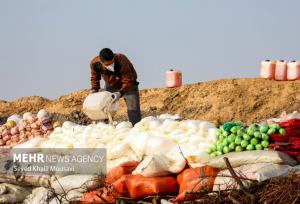 امحای ۲۰ تن انواع مواد مخدر توسط پلیس تهران