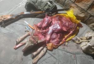 دستگیری ۳ شکارچی در پارک ملی صیدوا؛ قوچ وحشی شکار شد