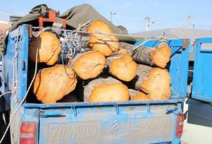 نعمتی: بیش از ۵ تن چوب قاچاق در تبریز کشف شد