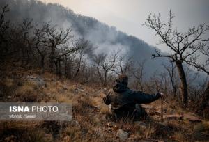  معاون سازمان حفاظت محیط زیست از کنترل نسبی آتش‌سوزی در جنگل‌های حفاظت‌شده «الیت» خبر داد
