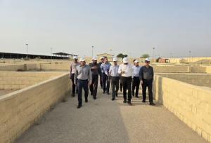 برنامه‌ریزی برای استفاده از قرنطینه دامی در دستور کار قرار دارد