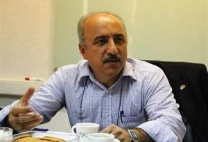 دولت با اعمال تعرفه از صنایع نوپا حمایت کند