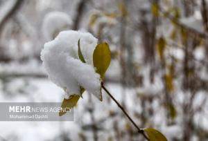 بارش شدید برف در نیشابور