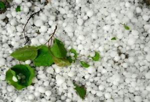 تگرگ شدید در روستای سرزه شمیل هرمزگان