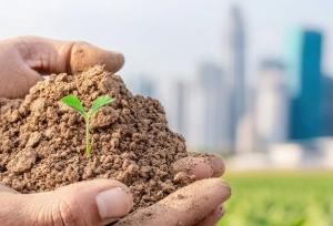 توسعه پایدار و تضمین سلامت سیاره زمین، در گرو حفاظت از خاک