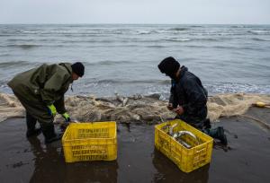 صیادی در تور مشکلات