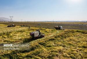 ضرورت همکاری ملی برای نجات کشاورزی در آذربایجان شرقی؛کم آبی جدی است