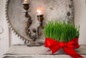 سیزده به در؛فرصتی برای گره زدن زندگی به طبیعت