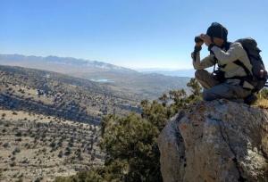 سرشماری سالانه پستانداران در ۱۱ منطقه حفاظت‌شده خوزستان آغاز شد