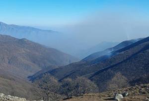 تلاش‌ها برای مهار آتش‌سوزی جنگل‌های نمنق جلفا ادامه دارد