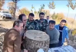 اجرای طرح ضربتی مبارزه با قاچاق چوب در بانه