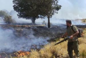 آتش‌سوزی مراتع جنگلی بخش گواور گیلانغرب دوباره شعله‌ور شد